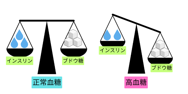 大阪市平野区の糖尿病内科：インスリンと血糖の関係