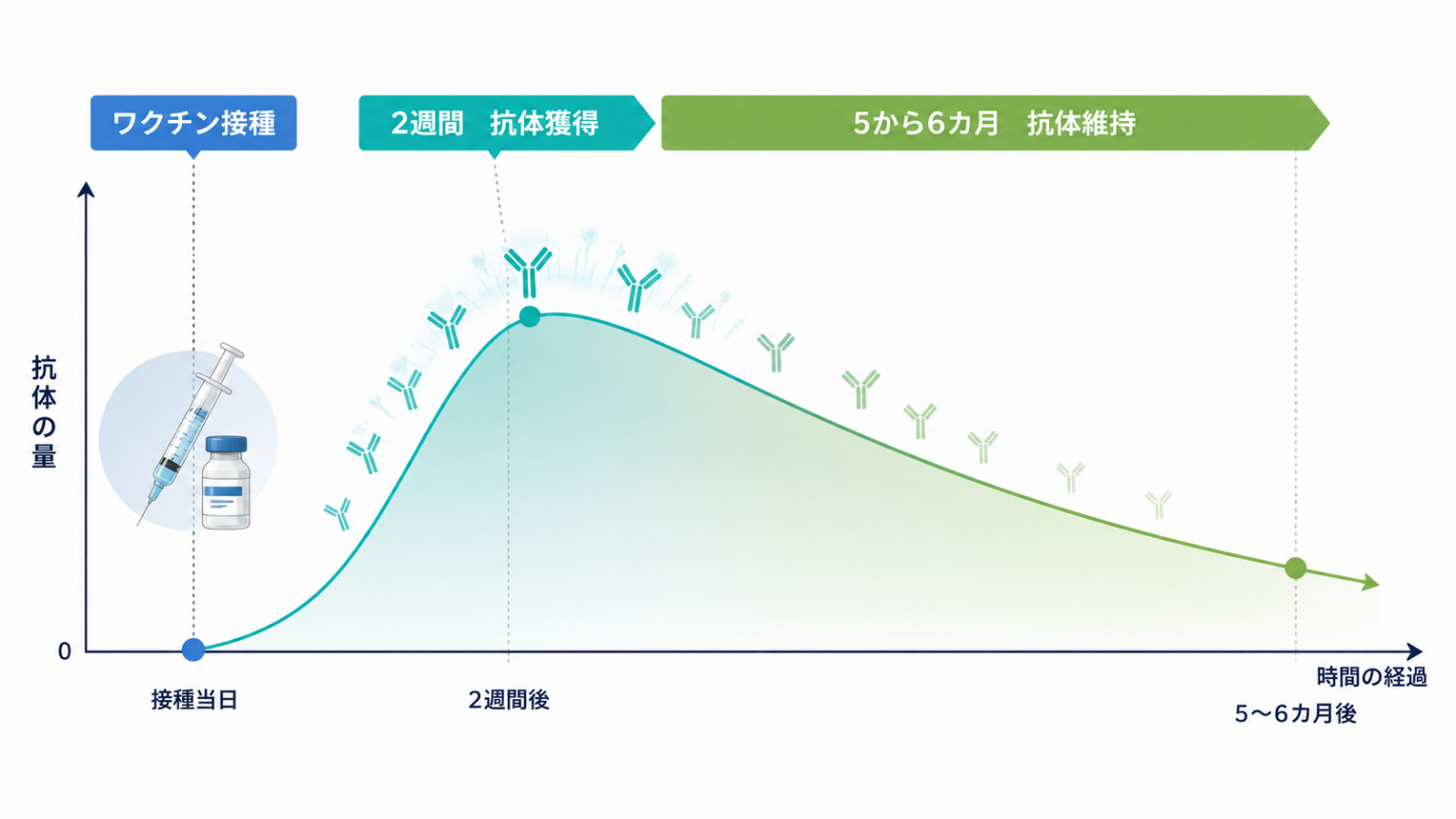 2026年インフルエンザワクチンの接種時期として10月中旬から11月上旬を目安にする考え方を示した図